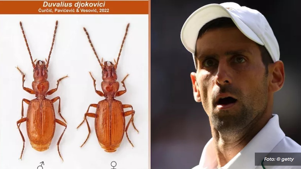 Новак Джокович е може би най великият спортист в историята на